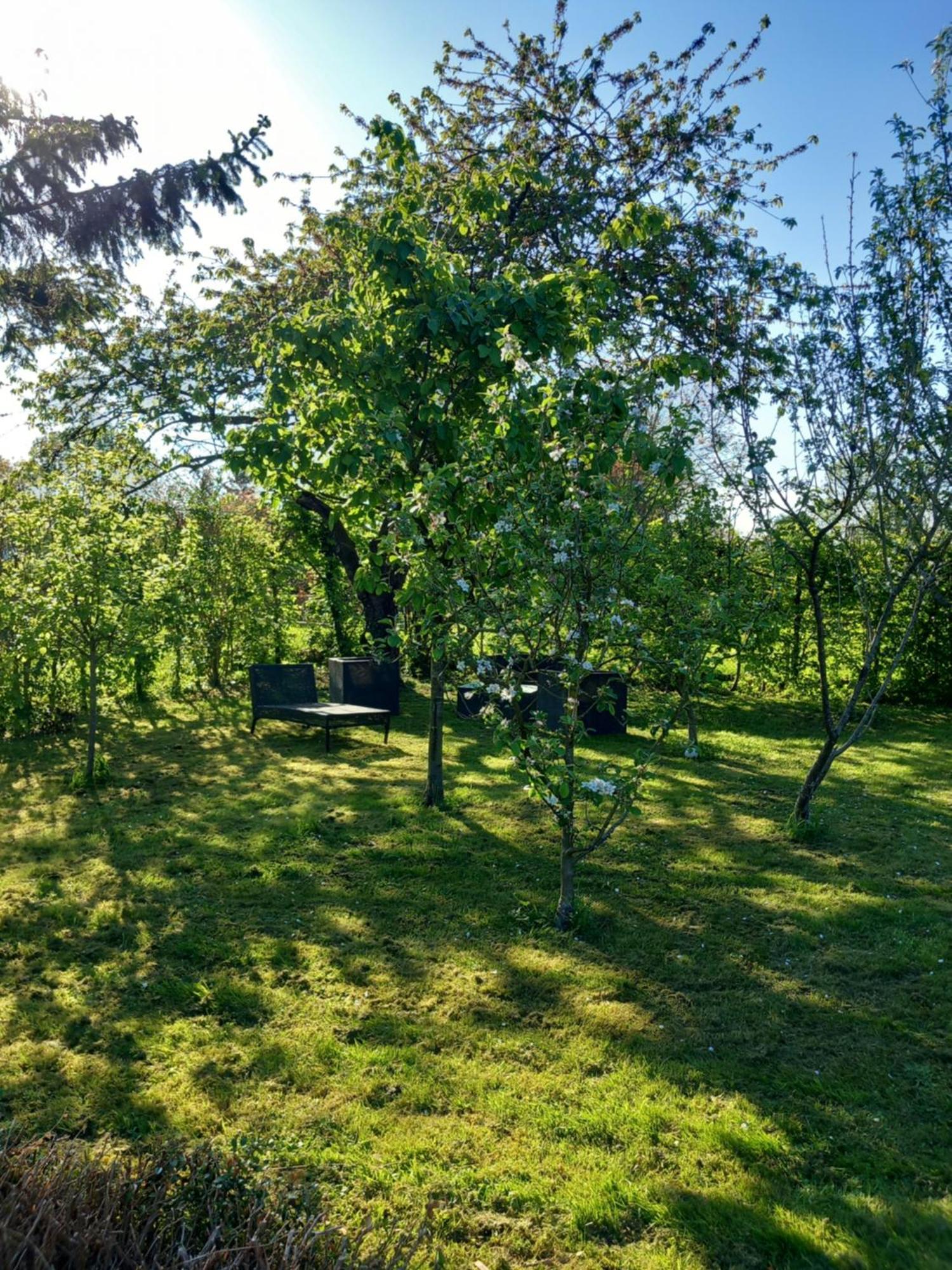 Les Oliviers De La Baie Gite- Le Relais De La Baie Millencourt-en-Ponthieu Esterno foto