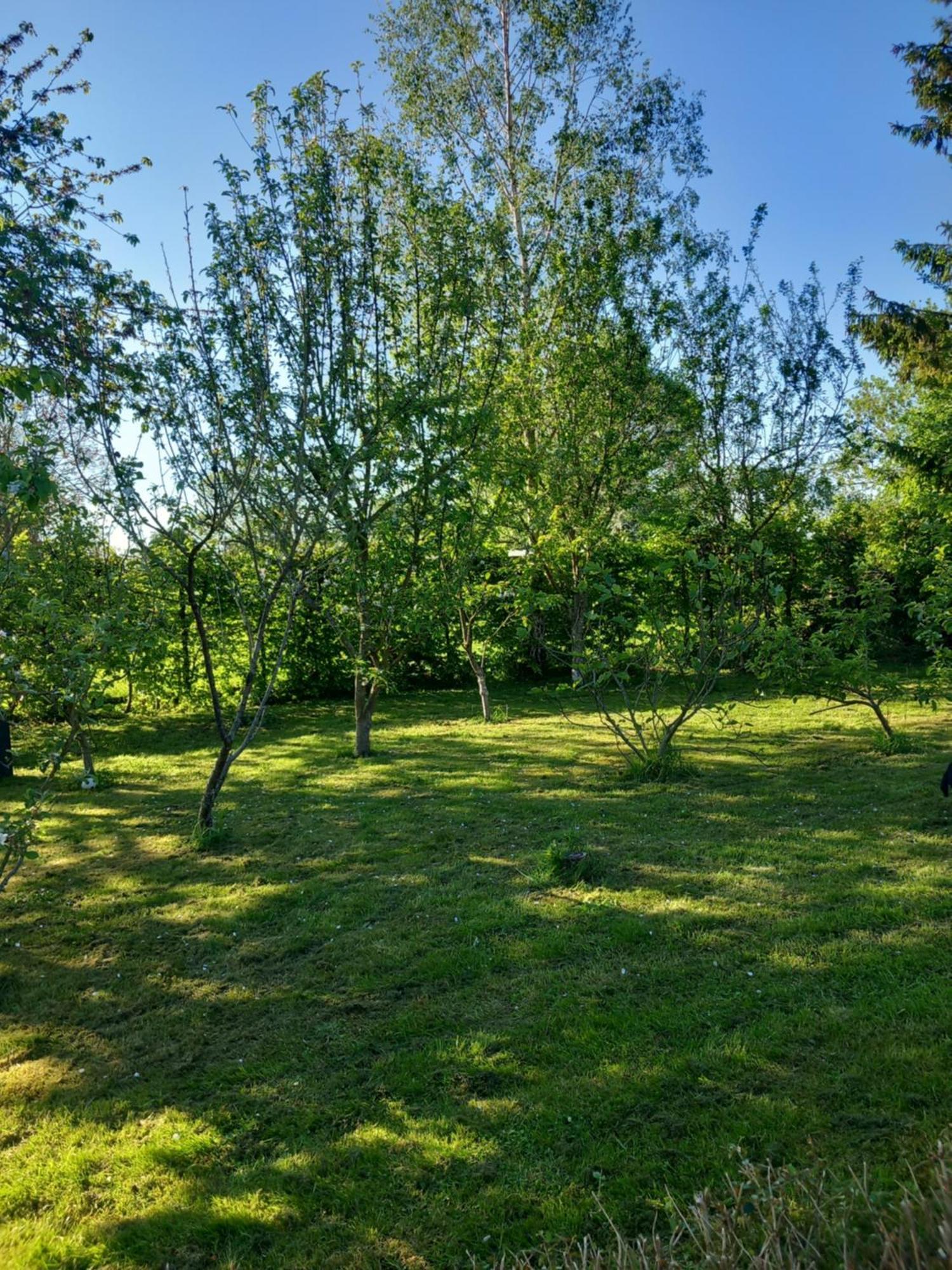 Les Oliviers De La Baie Gite- Le Relais De La Baie Millencourt-en-Ponthieu Esterno foto